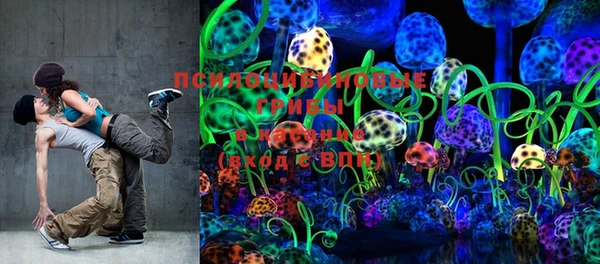 mdpv Горняк