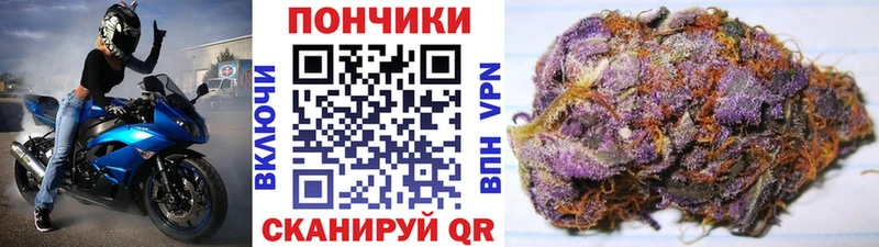 Бошки марихуана тримм Красногорск
